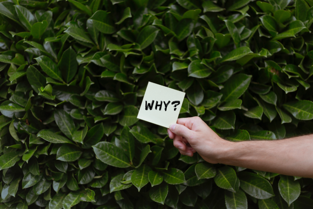 This image features a man’s arm and hand against a dark evergreen bush. In the man’s hand is a Post-It note on which is written the word ‘WHY?’ in capital letters – again, as a reminder of what lies behind entrepreneurs’ business and marketing strategy. The light yellow color of the Post-It note contrasts against the dark green background of the bush.