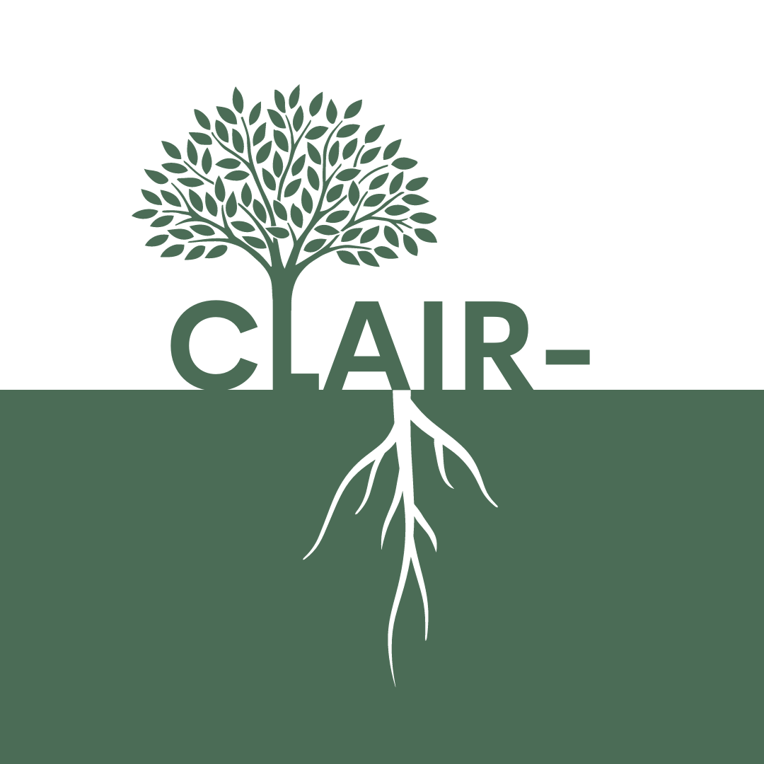 This image is a graphic featuring the word ‘CLAIR-’ in bold green lettering. Growing from the top of the ‘L’ in the word is a tree, also in green, which is set against a white background. At the bottom of the right arch of the letter ‘A’, a root emerges, which is white against the green background.